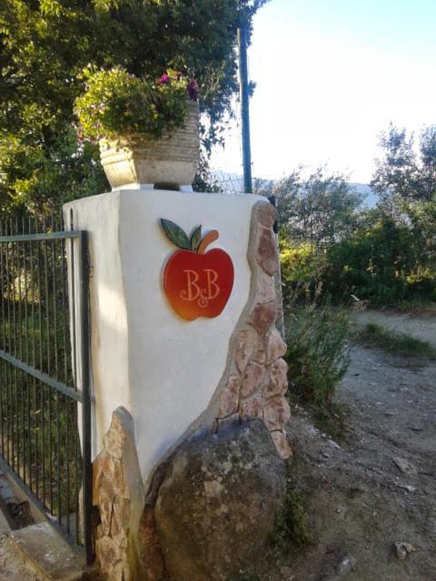 B&B Meladormo Tempio Pausania Exterior photo