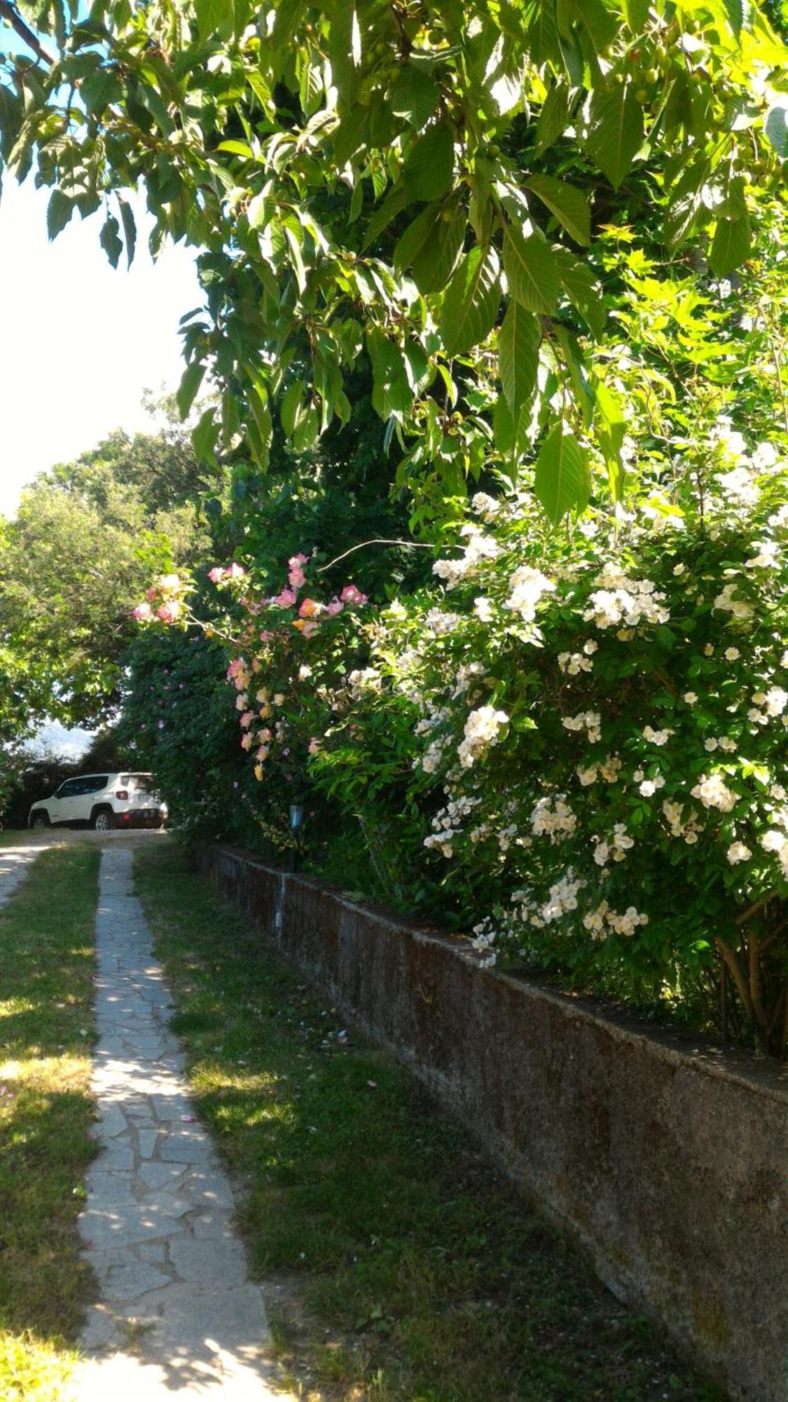 B&B Meladormo Tempio Pausania Exterior photo
